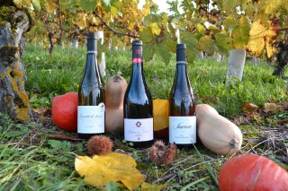 Vins de Savoie pour l'automne