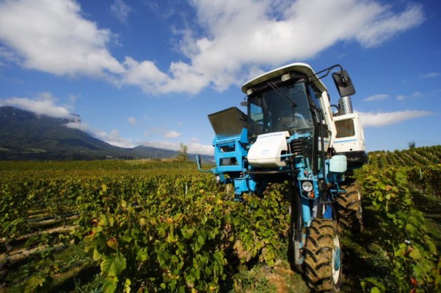 Vendanges mecaniques