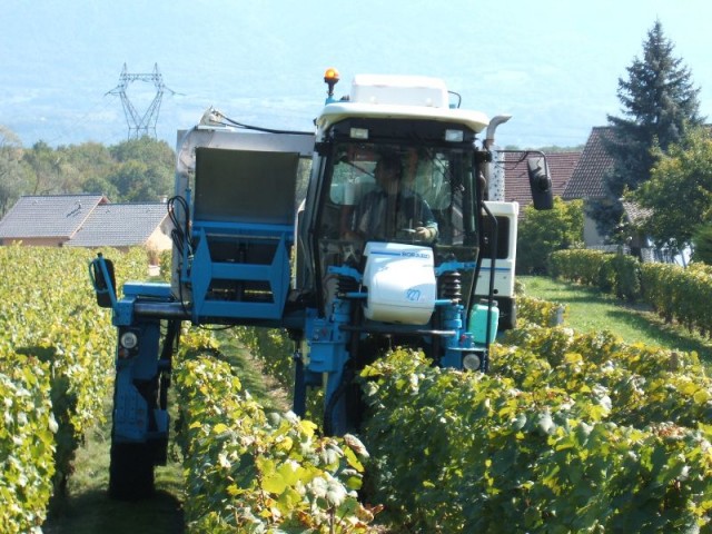 Vendanges mecaniques