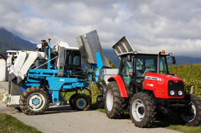 Vendanges mecaniques