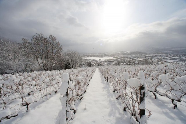 Château de Monterminod en repos hivernal