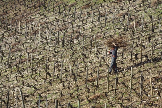 Pruning