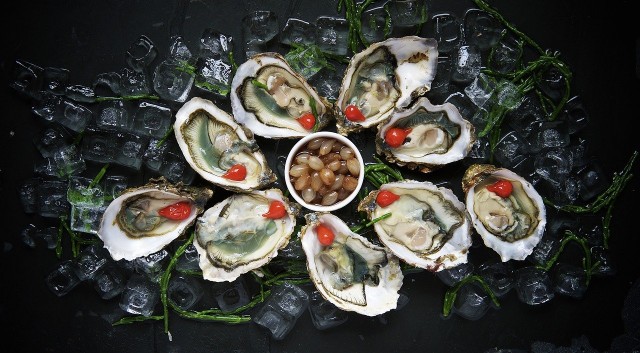 oysters-1209767-1280-360