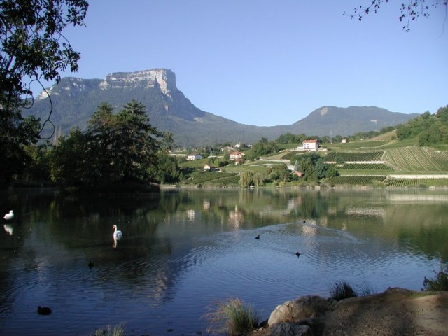 Vignoble des Abymes autour du Lac Saint André