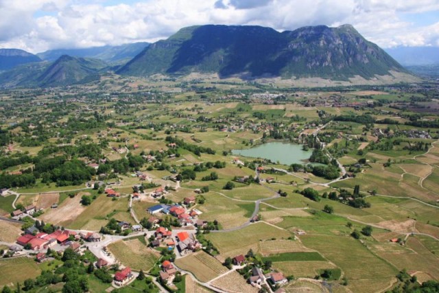 Vignoble sur la Commune de Les Marches