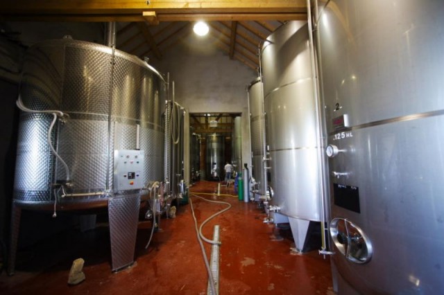 vinification-en-cuve-inox-170