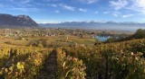 Vignoble Abymes Cremant de Savoie 