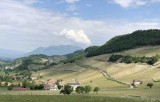 Vignoble Jongieux mondeuse