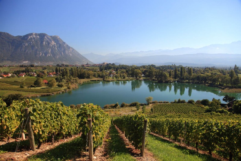 Vignoble Abymes Lac saint andré combe de Savoie