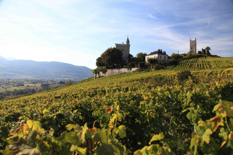 Vignoble Chignin jean perrier et fils