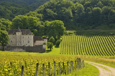 Vignoble Gamay Chautagne Jean Perrier