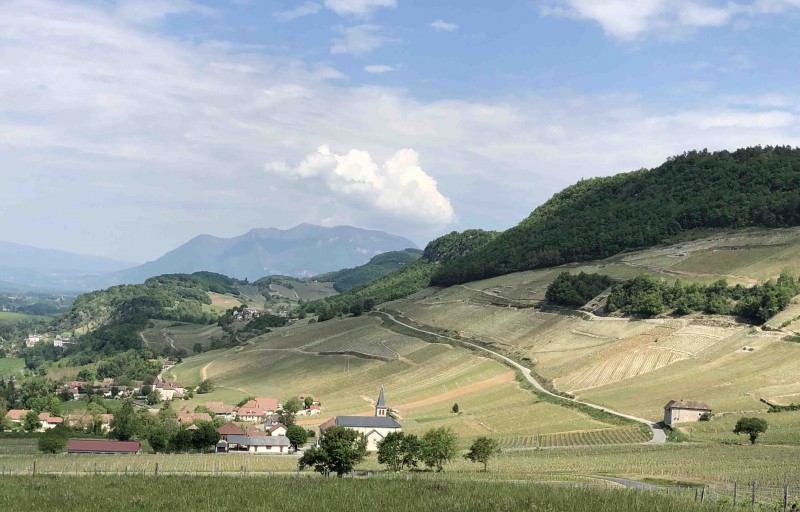 Vignoble Jongieux jean perrier